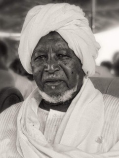Bashir Elnefeidi